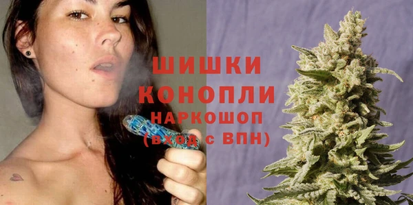 прущие крисы Балахна