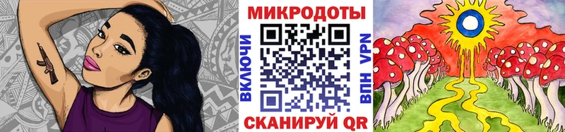 omg вход  Рудня  Псилоцибиновые грибы Psilocybe 